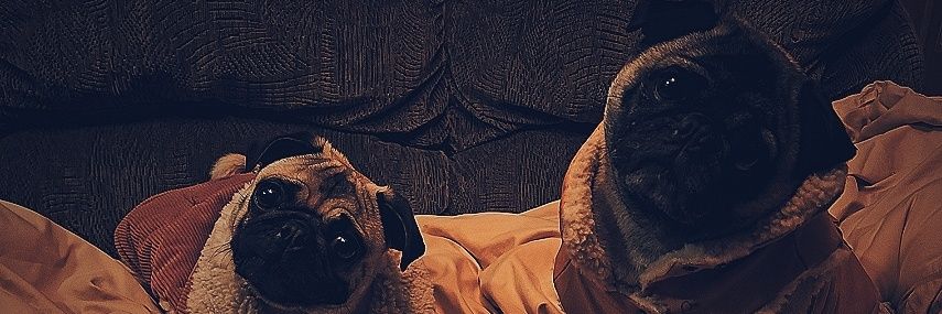 Barc0o's profile banner image