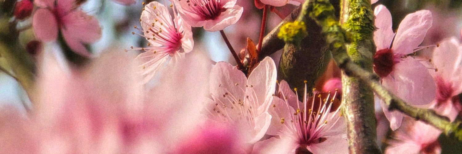 AudreyClde's profile banner image