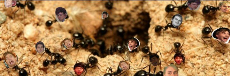 5 Seconds Of Ants banner