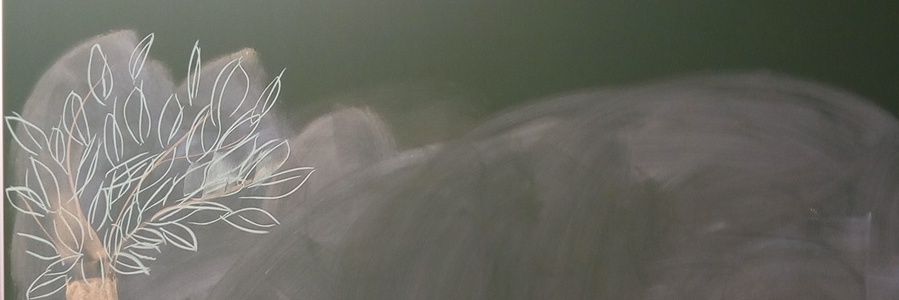 PiR 2i banner