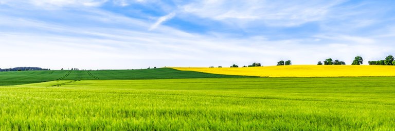 moocheeseify's profile banner image
