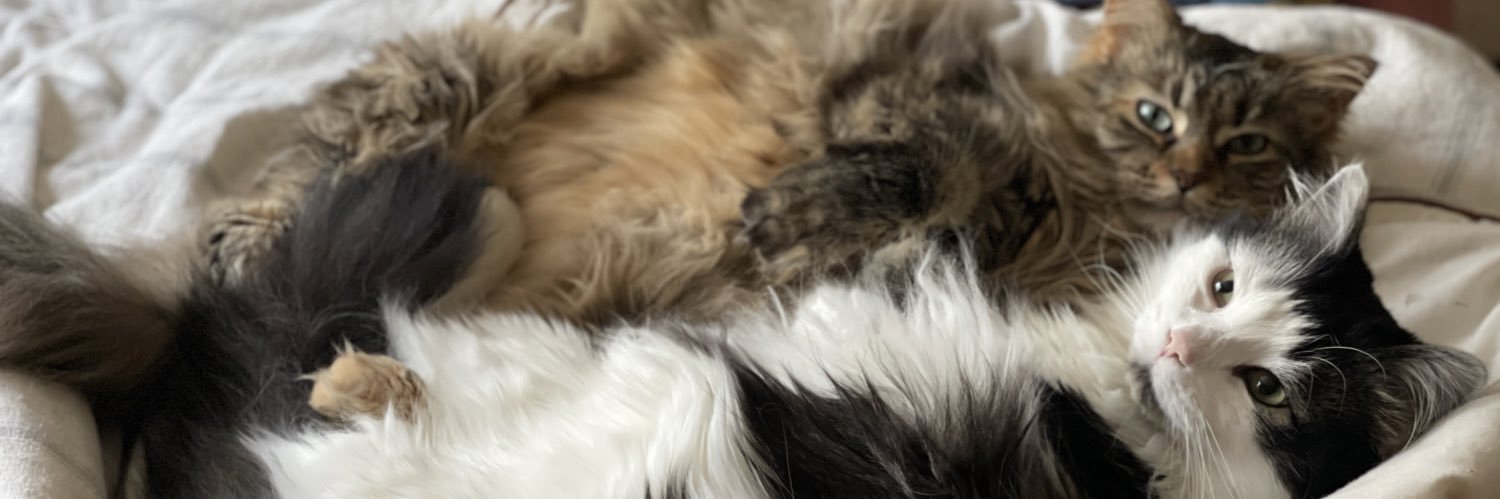 kenzilehmann's profile banner image