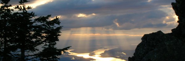 mj_hague Profile Banner