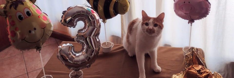 BorisReisig's profile banner image
