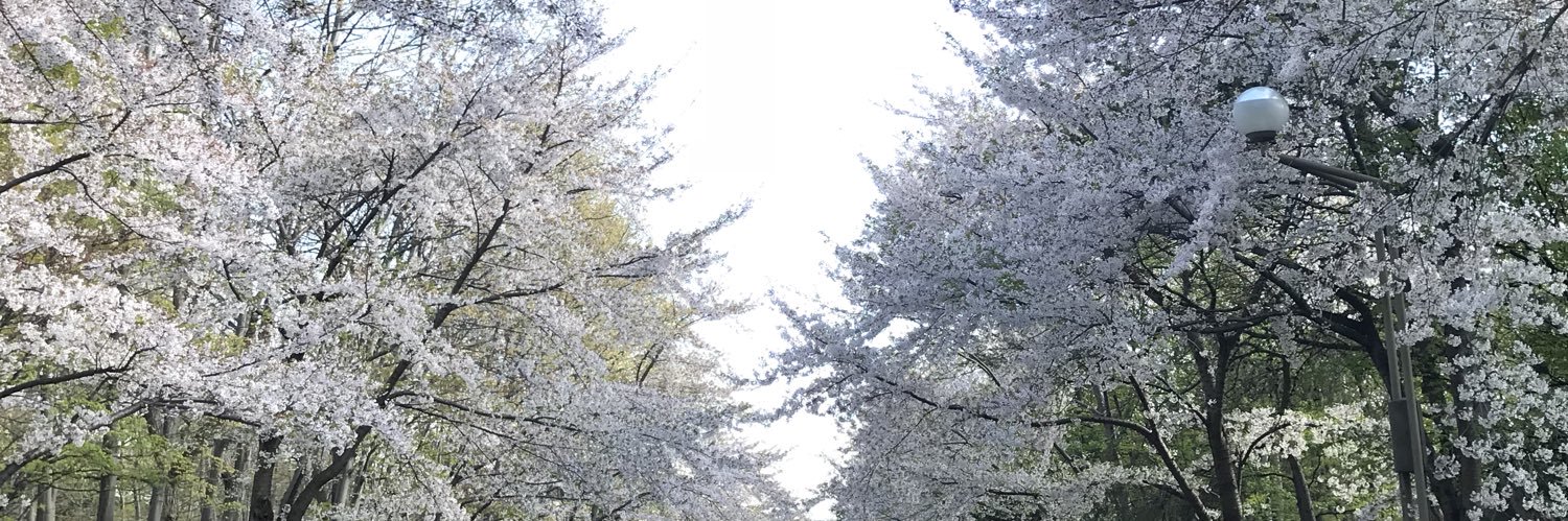 omamesenshi's profile banner image