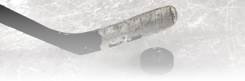 Stefan 🏒 Eissing (parody) banner