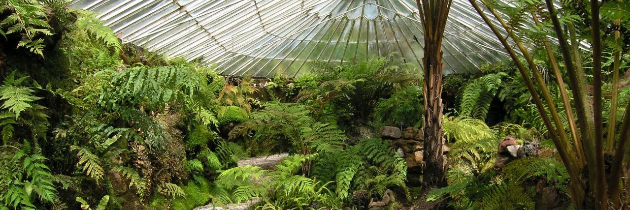 Michael Zehrer banner