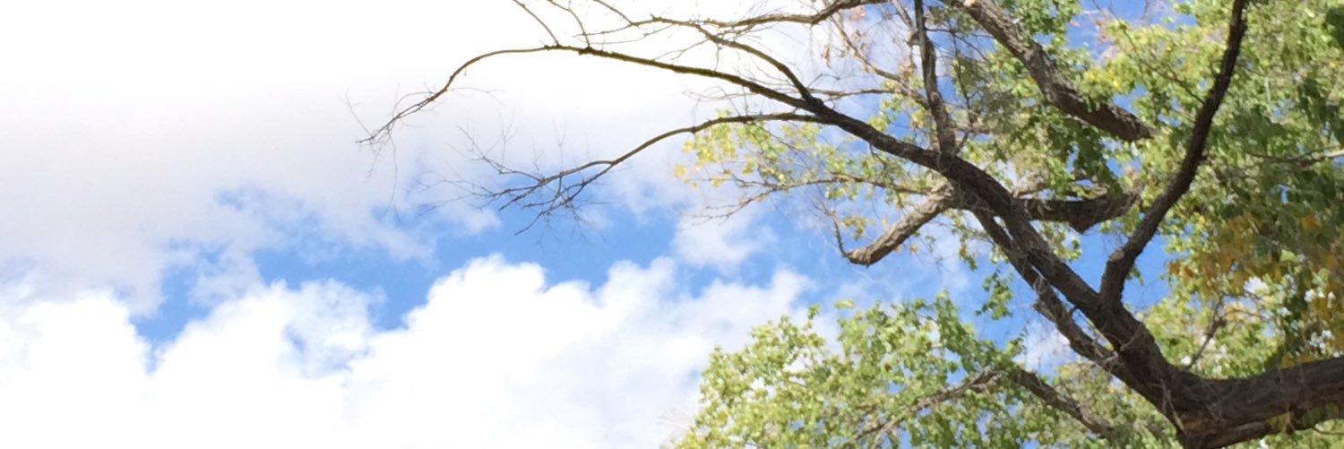 lcparker02's profile banner image