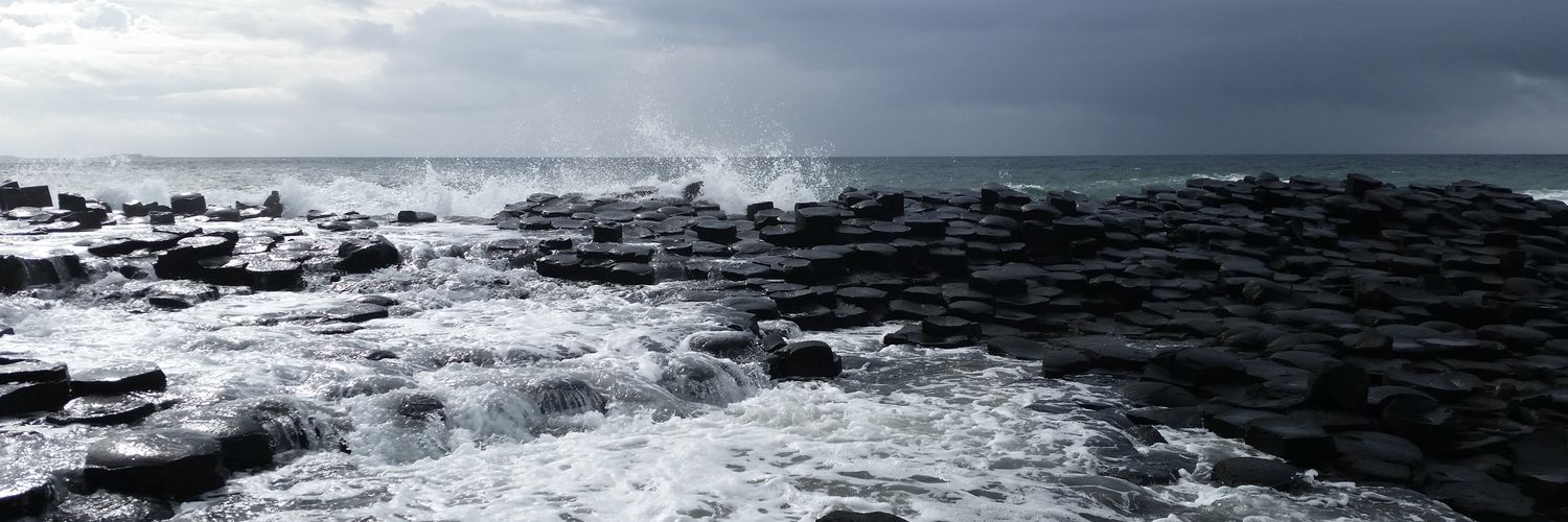 Shellseeker629's profile banner image
