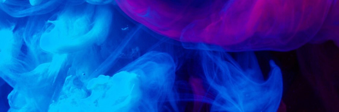 lenaa_22's profile banner image