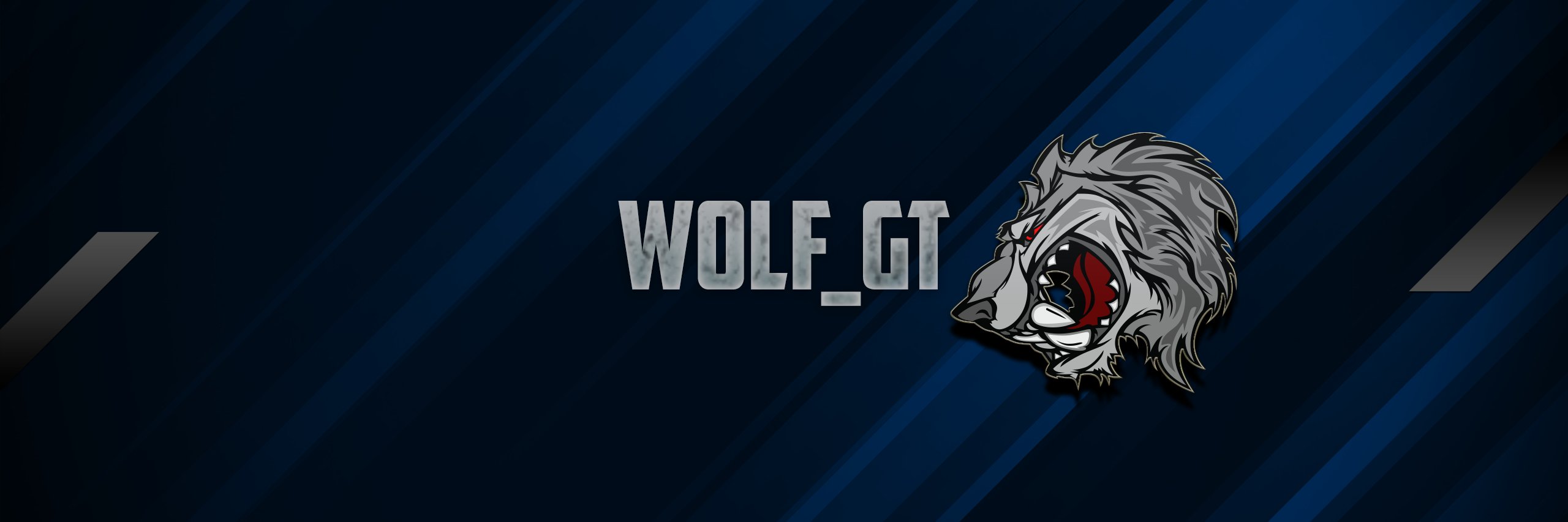 W0LF_GT's profile banner image