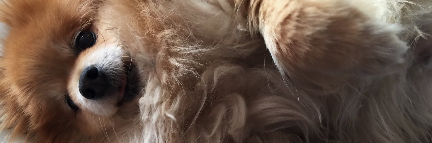 NattyNat210's profile banner image