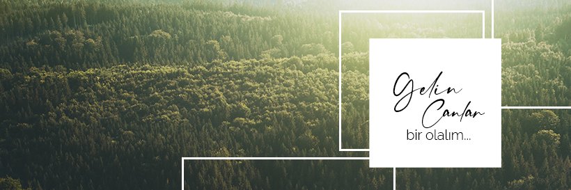 BurcuAriMusic's profile banner image