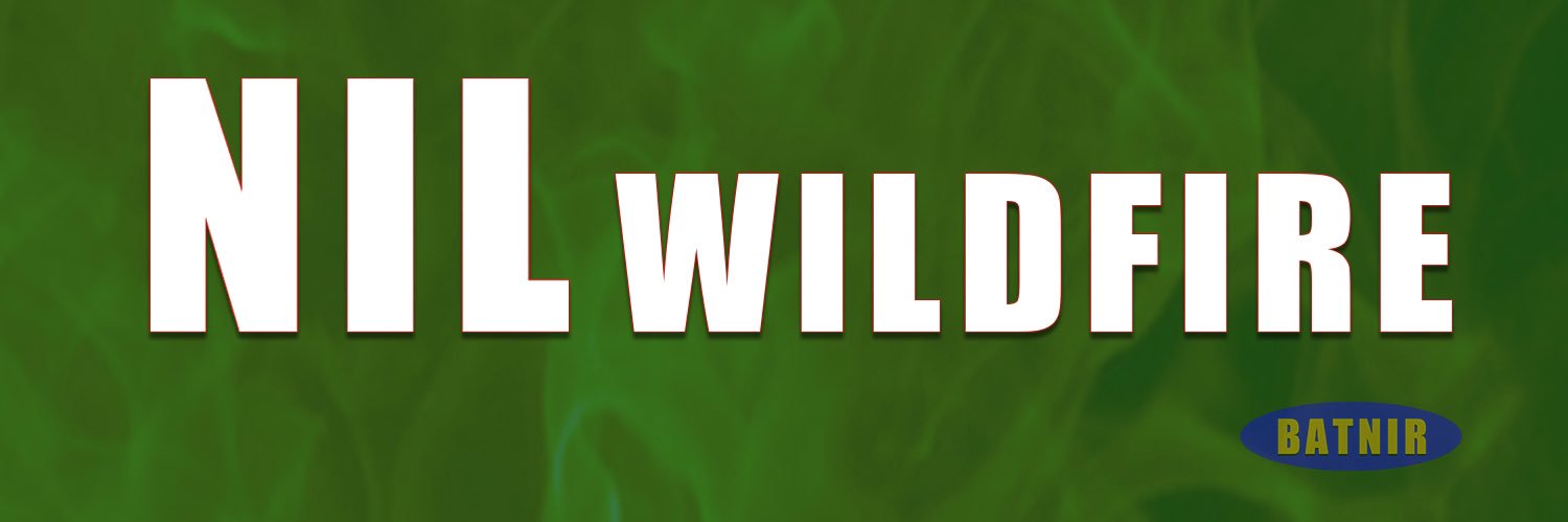 NILwildfire's profile banner image