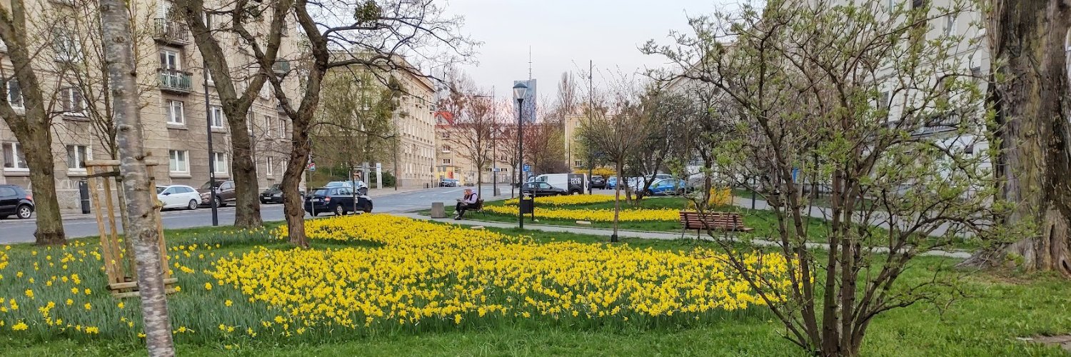 Paweł Wimmer banner