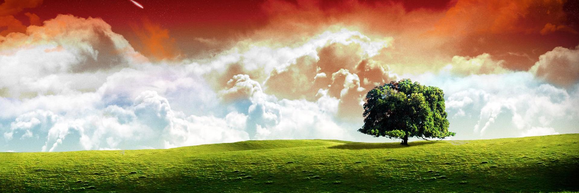 salihsm's profile banner image
