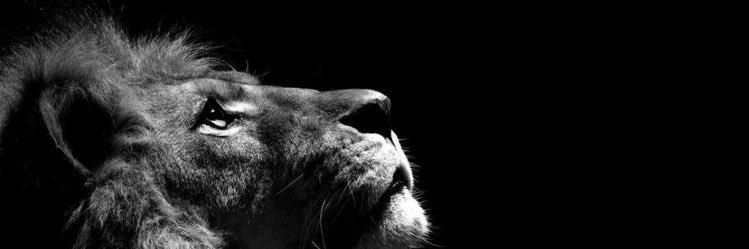 Anchit Sripat banner