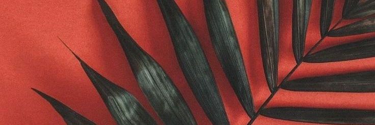 agnesspuja's profile banner image