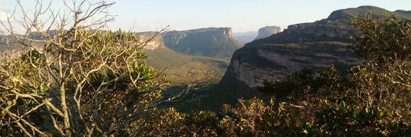 fernandaztex Profile Banner