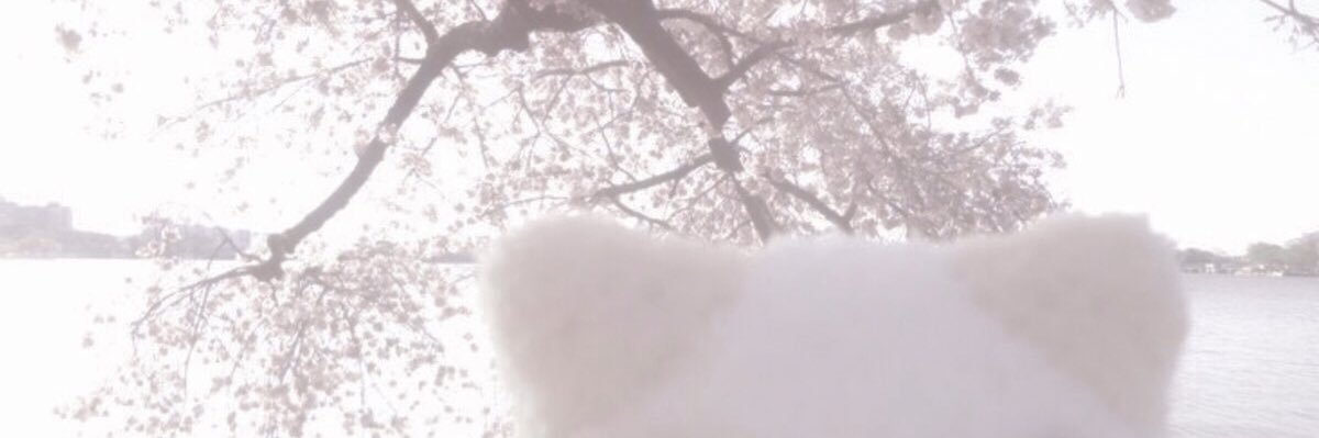 🦢 banner
