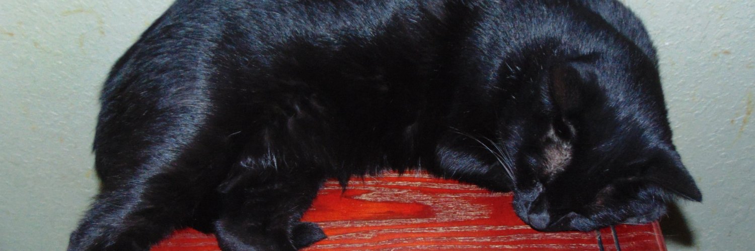 Alexandria | Lotus banner