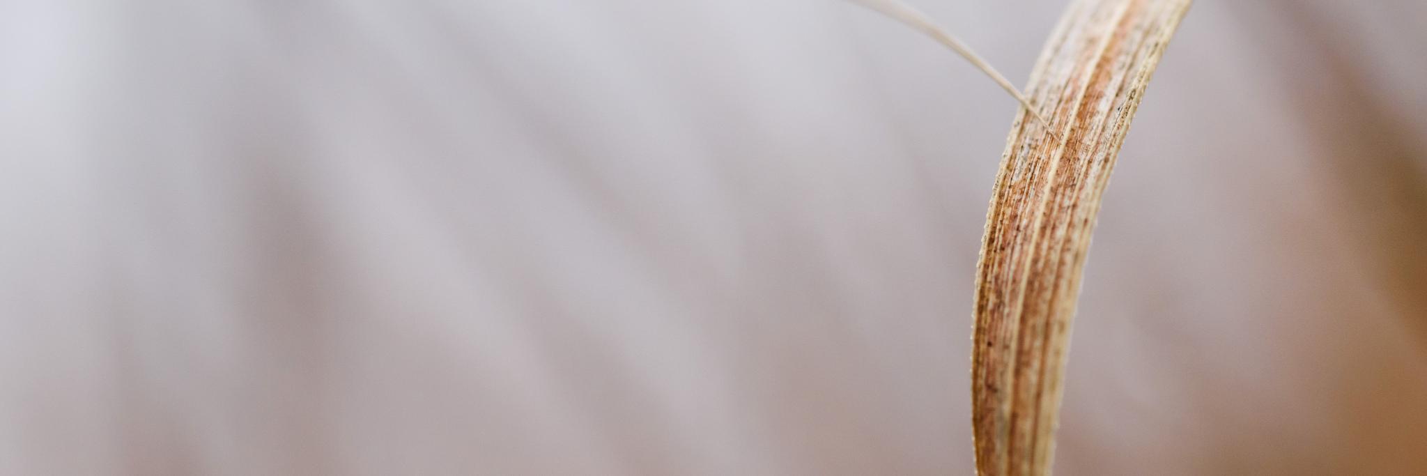 cvandervelpen's profile banner image