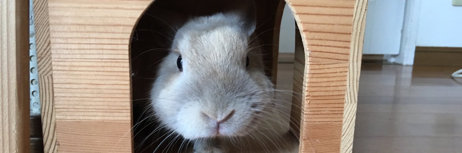 Maido 毎度 🇯🇵🏴󠁧󠁢󠁳󠁣󠁴󠁿 banner