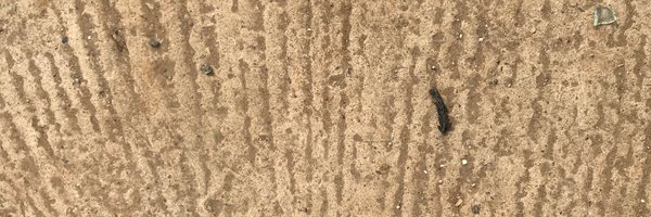 WASHEShq Profile Banner