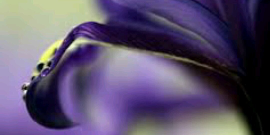 sam0oo1's profile banner image