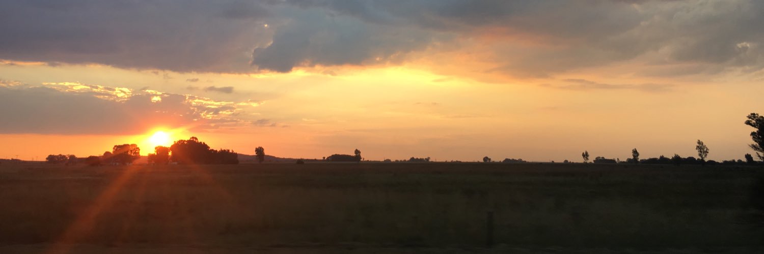 VelenePeters's profile banner image