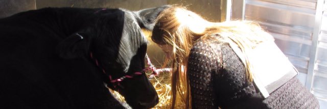 ishowlivestock's profile banner image