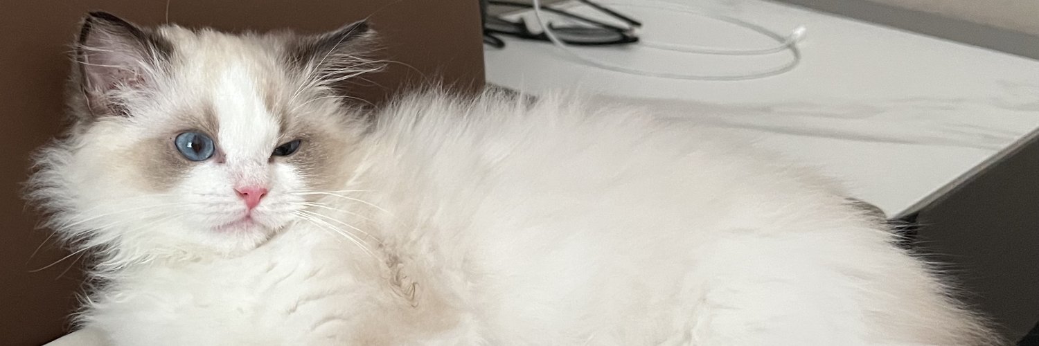 pp.mirror.xyz banner