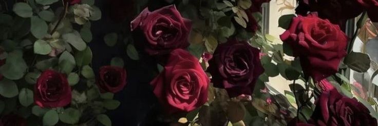 Magick_Rose's profile banner image