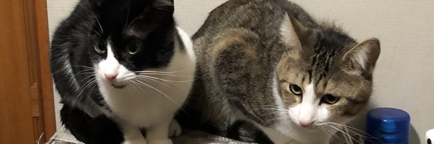 🍭🛼かつひこ🐯❤️‍🔥 banner