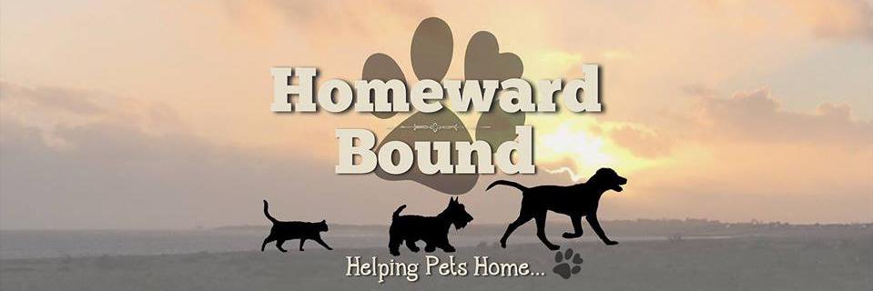 Homeward Bound banner