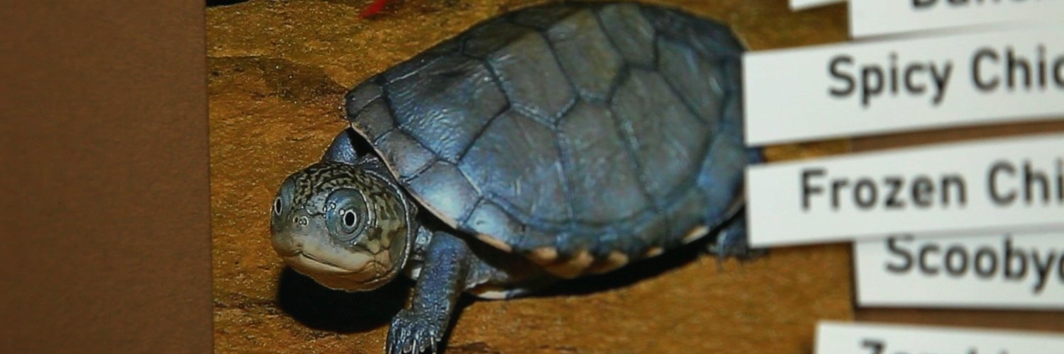 Nathan Landel banner