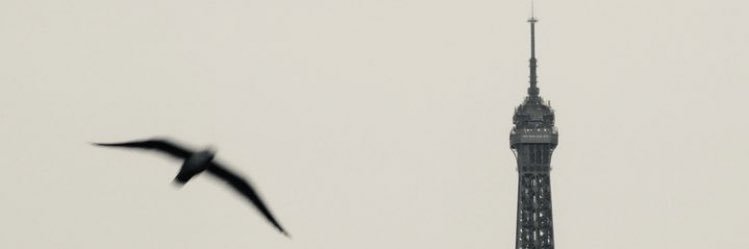 COLBDBOR's profile banner image