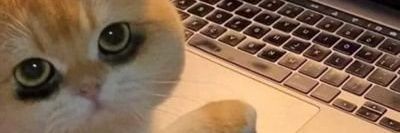 yurapingky's profile banner image