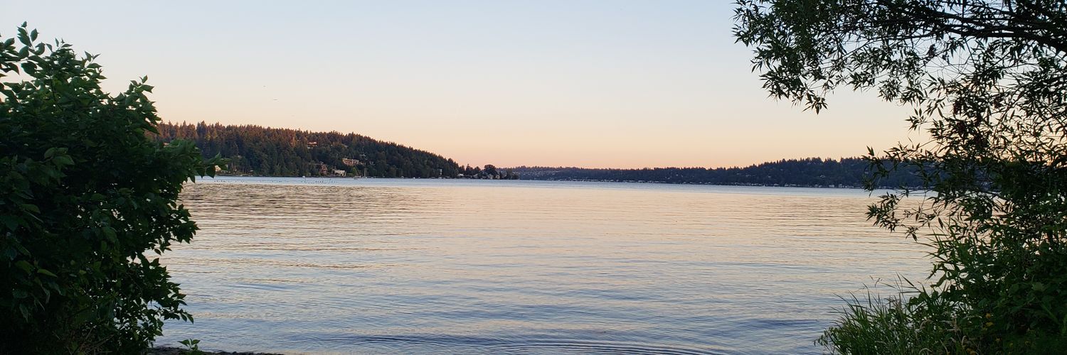 asleepypanda's profile banner image