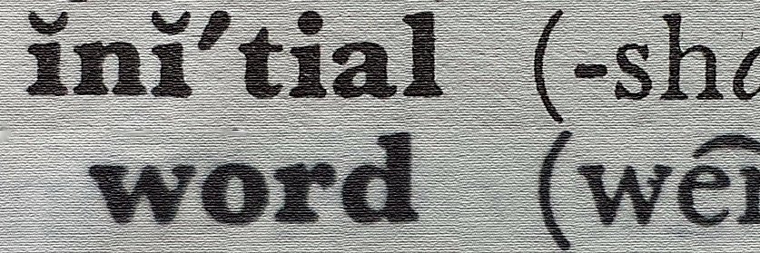 Fiona the content writer banner