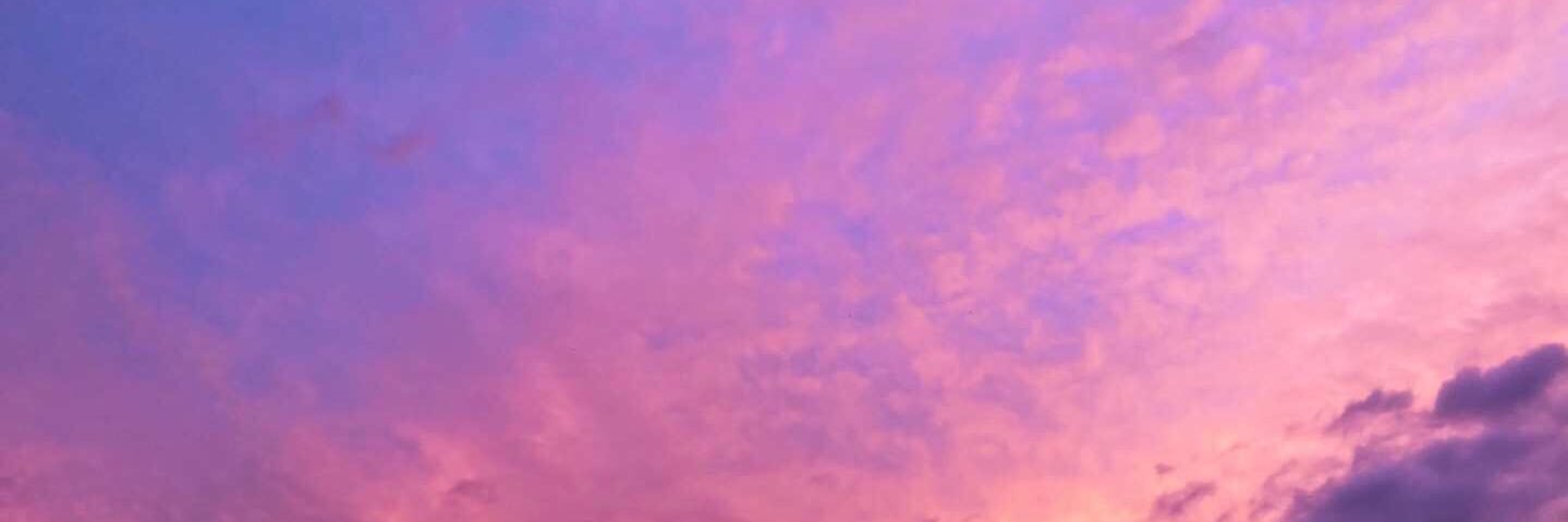 Leahmoon banner