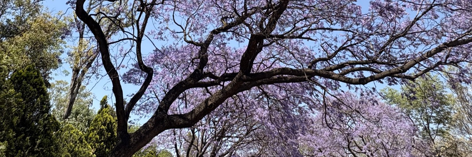 pacosalazarmx's profile banner image