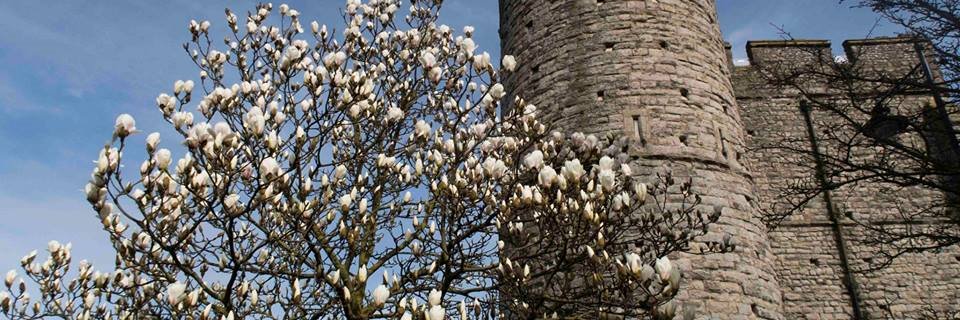 Prof Eleni Hatzidimitriadou banner