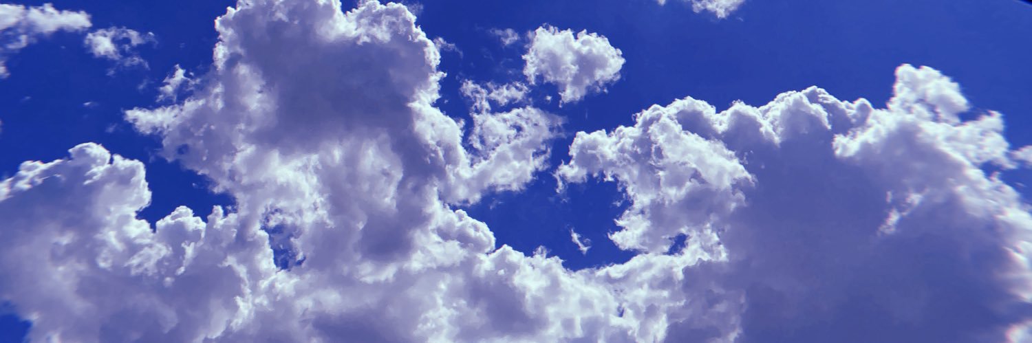 neesus_'s profile banner image