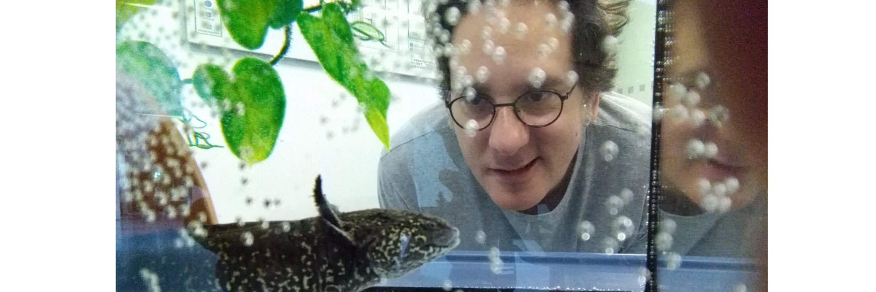 Osvaldo Chara banner