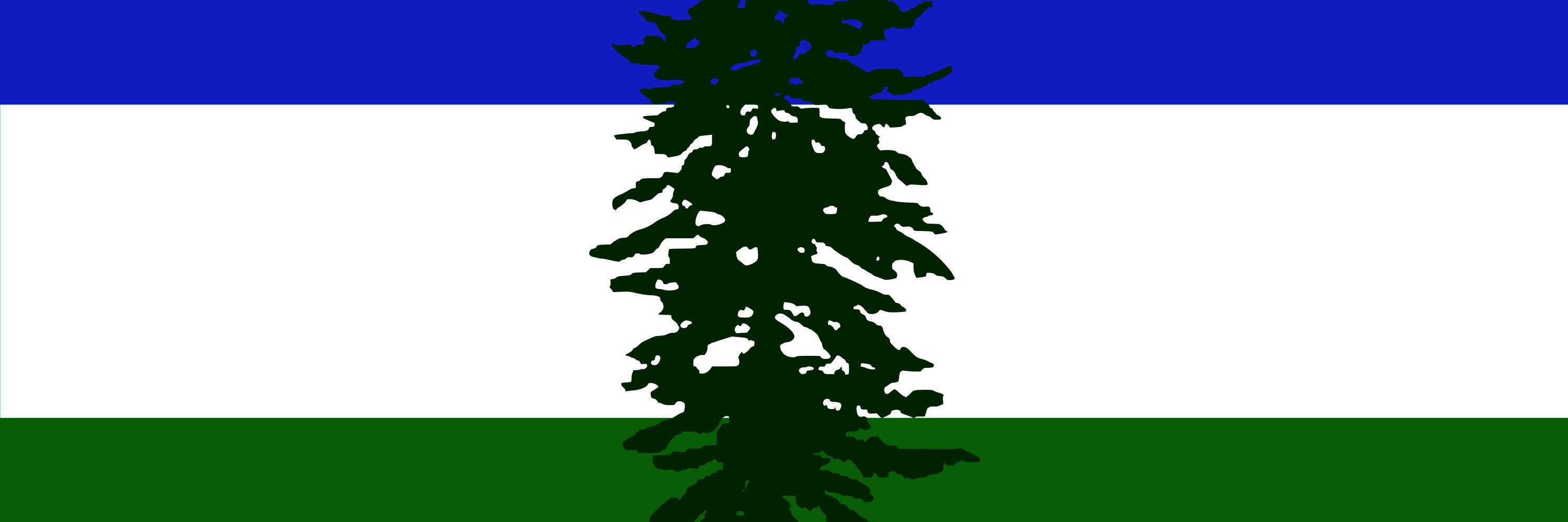 Doug Schultz banner