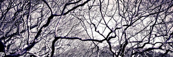 AUBAUM Profile Banner