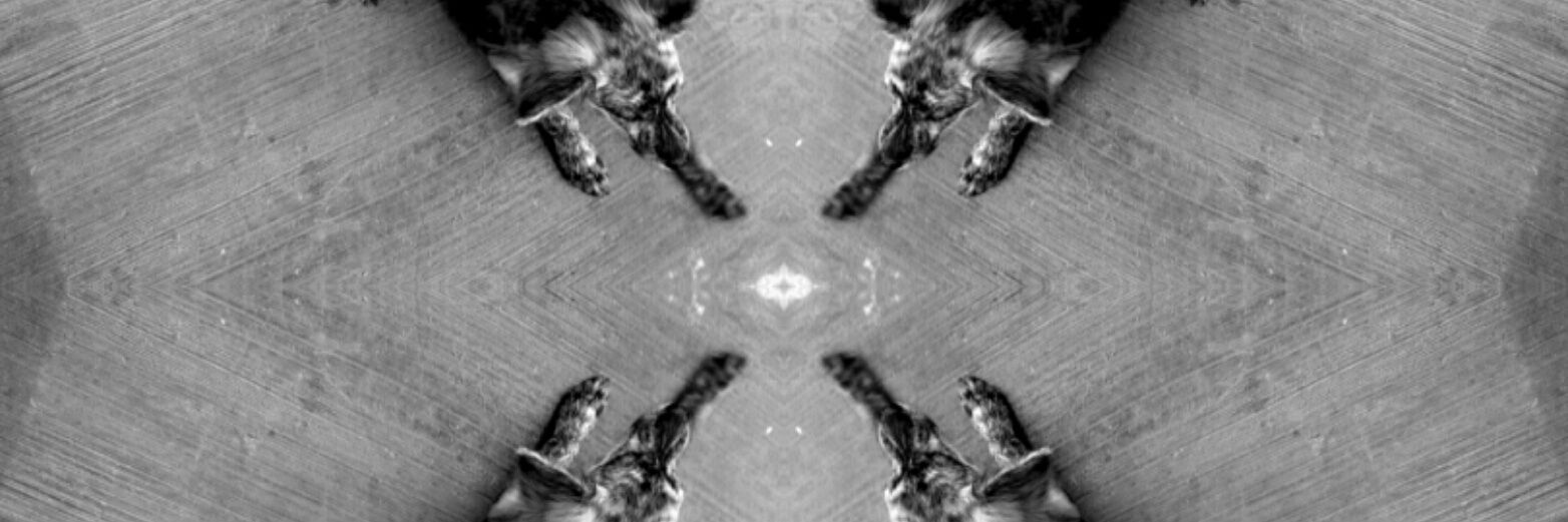 ichich_'s profile banner image