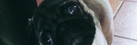 SebaValsagna's profile banner image