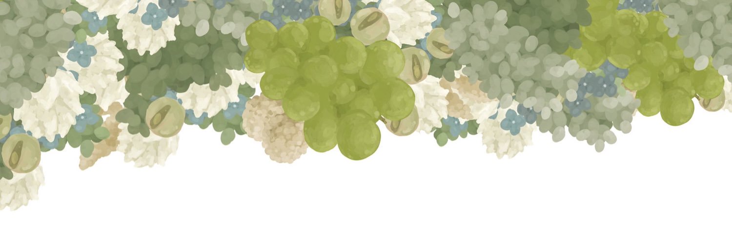 llsotf's profile banner image